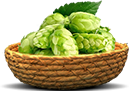 Hopfen